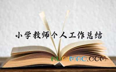 小学教师个人工作总结2025年（15篇）