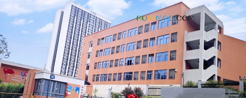 中学报账员挪用公款660万，200余万涉学生经费，6名监管者被追责