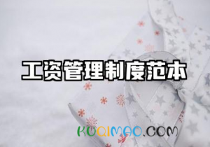 工资管理制度范本模板 薪酬管理制度模板完整版