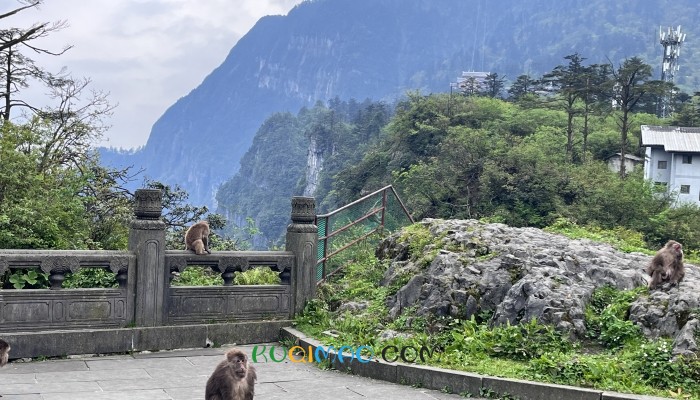 峨眉山陪爬队员拉抱游客登山引热议 团队回应：仅应要求提供帮助 景区称非官方服务