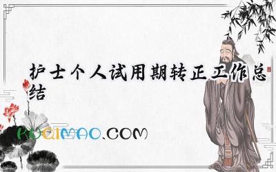 2025护士个人试用期转正工作总结怎么写（9篇）