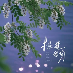 槐花的吻歌词 - cici_