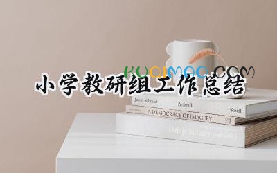 小学教研组工作总结2025年（18篇）