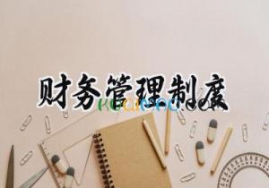 2025财务管理制度怎么写 (18篇）