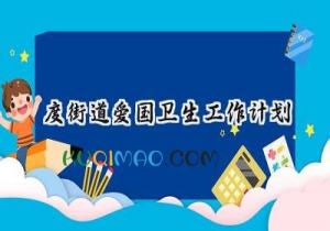 2025度街道爱国卫生工作计划怎么写（19篇）