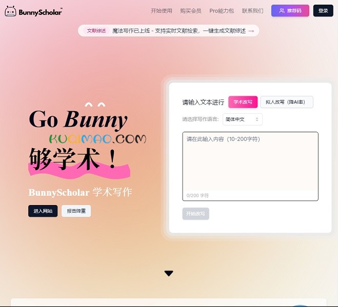 BunnyScholar网站截图