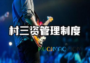 村三资管理制度范本 村集体“三资”管理制度