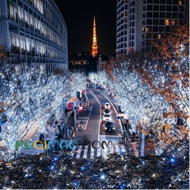 日本东京夜景浪漫指南：从经典地标到隐秘胜地