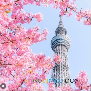 日本东京夜景浪漫指南：从经典地标到隐秘胜地