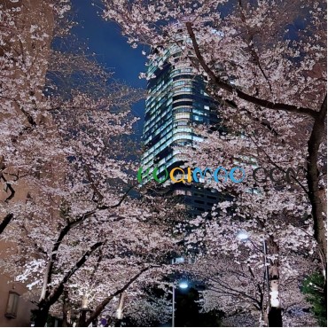 日本东京夜景浪漫指南：从经典地标到隐秘胜地