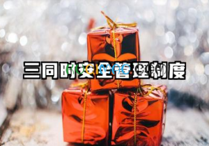三同时安全管理制度范文 三同时安全管理制度模板