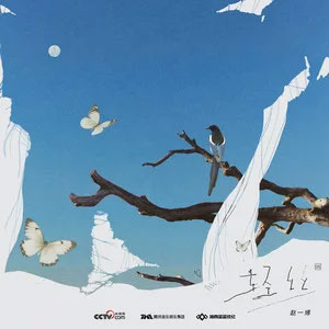 轻丝