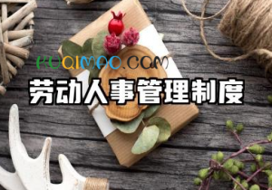 劳动人事管理制度模板 劳动力管理规章制度 劳动人事管理制度模板 劳动力管理规章制度