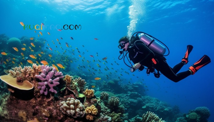 克罗地亚运动员水下憋气29分3秒破纪录 超原纪录5分钟