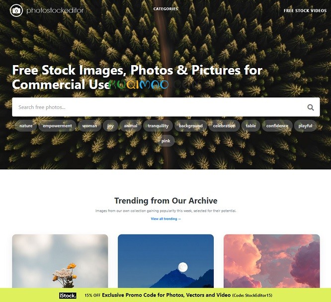 Photostockeditor网站截图 Photostockeditor网站截图