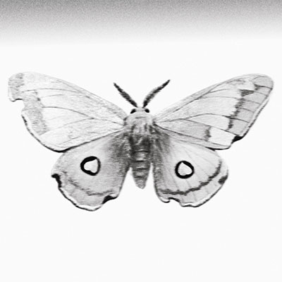 冬蛾 (feat.早安)歌词 - 李昊/早安