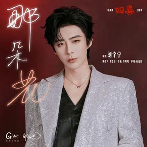 那朵花 (《四喜》电视剧主题曲)