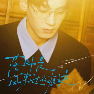 落叶是风来过的痕迹