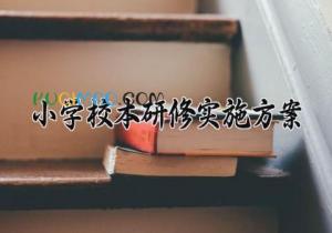 小学校本研修实施方案 2025年小学校本研修计划 (19篇）