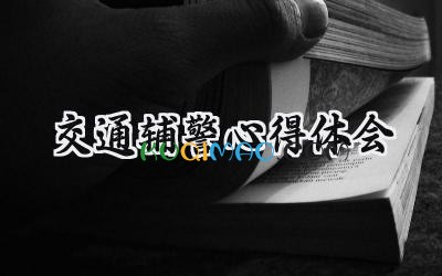 交通辅警心得体会2025年范文 (5篇）