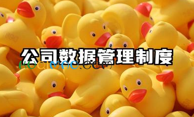 公司数据管理制度内容 公司数据质量管理制度范本