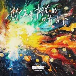 你真正拥有的只有当下歌词 - 胡彦斌