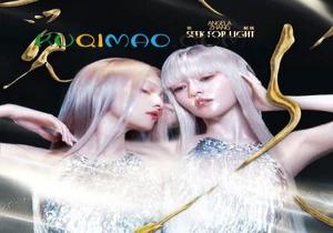 觅光歌词 - 张韶涵