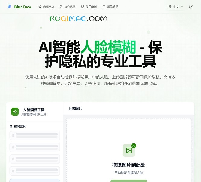 Blur Face网站截图 Blur Face网站截图