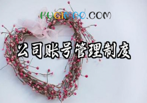 公司账号管理制度内容 公司账号管理员规章制度范本