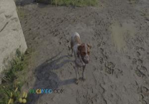 自我欺骗开锁是什么意思