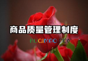 产品质量管理制度范本 生产质量管理制度范本