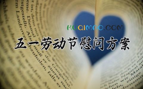 五一劳动节慰问方案 慰问方案五一劳动节2025年 (10篇)