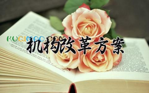 机构改革方案 机构改革的方案2025 (3篇)