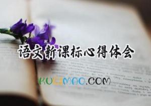 语文新课标心得体会2025年（15篇）