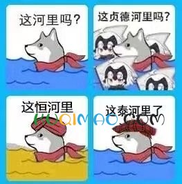 这河里吗？