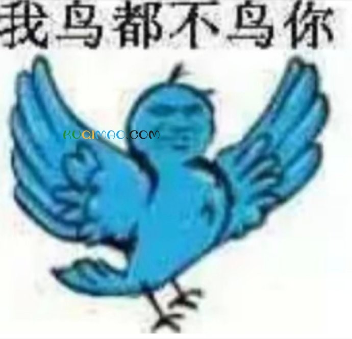我鸟都不鸟你