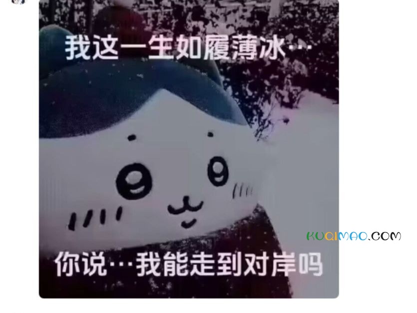 你说我这一生如履薄冰、能走到对岸吗