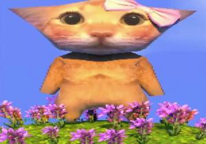 阿米噶蒂朵，喵喵是什么意思