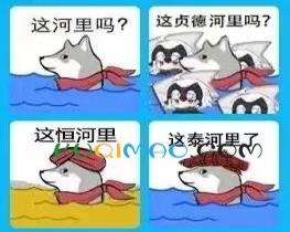 这河里吗？是什么意思