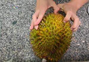 人类早期驯服野生XX的珍贵录像是什么意思