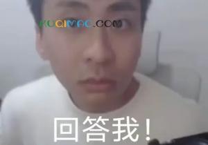 回!答!我!是什么意思