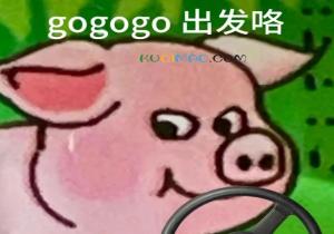 万物皆可GoGoGo是什么意思