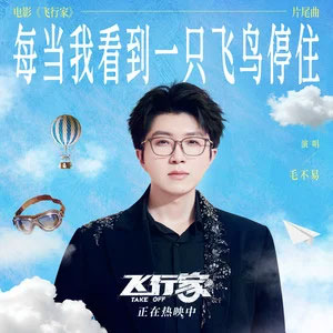 每当我看到一只飞鸟停住 (《飞行家》电影片尾曲)歌词 - 毛不易