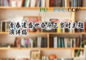 2025青春逢盛世奋斗正当时主题演讲稿怎么写（9篇）