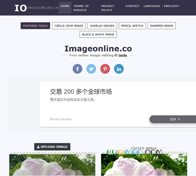 Image Online网站截图