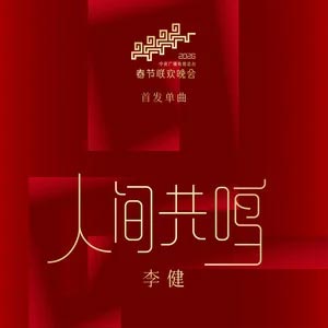 人间共鸣歌词 - 李健