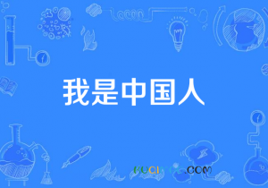 我是中国人！是什么意思