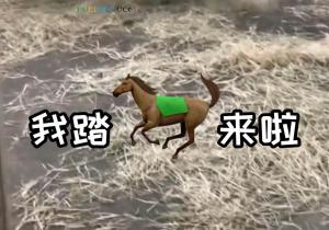 我踏马来了‌是什么意思