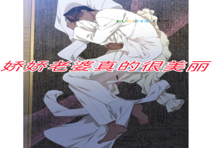 27（爱妻）是什么意思