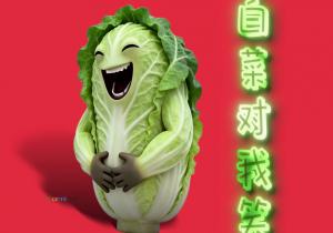 白菜对我笑是什么意思